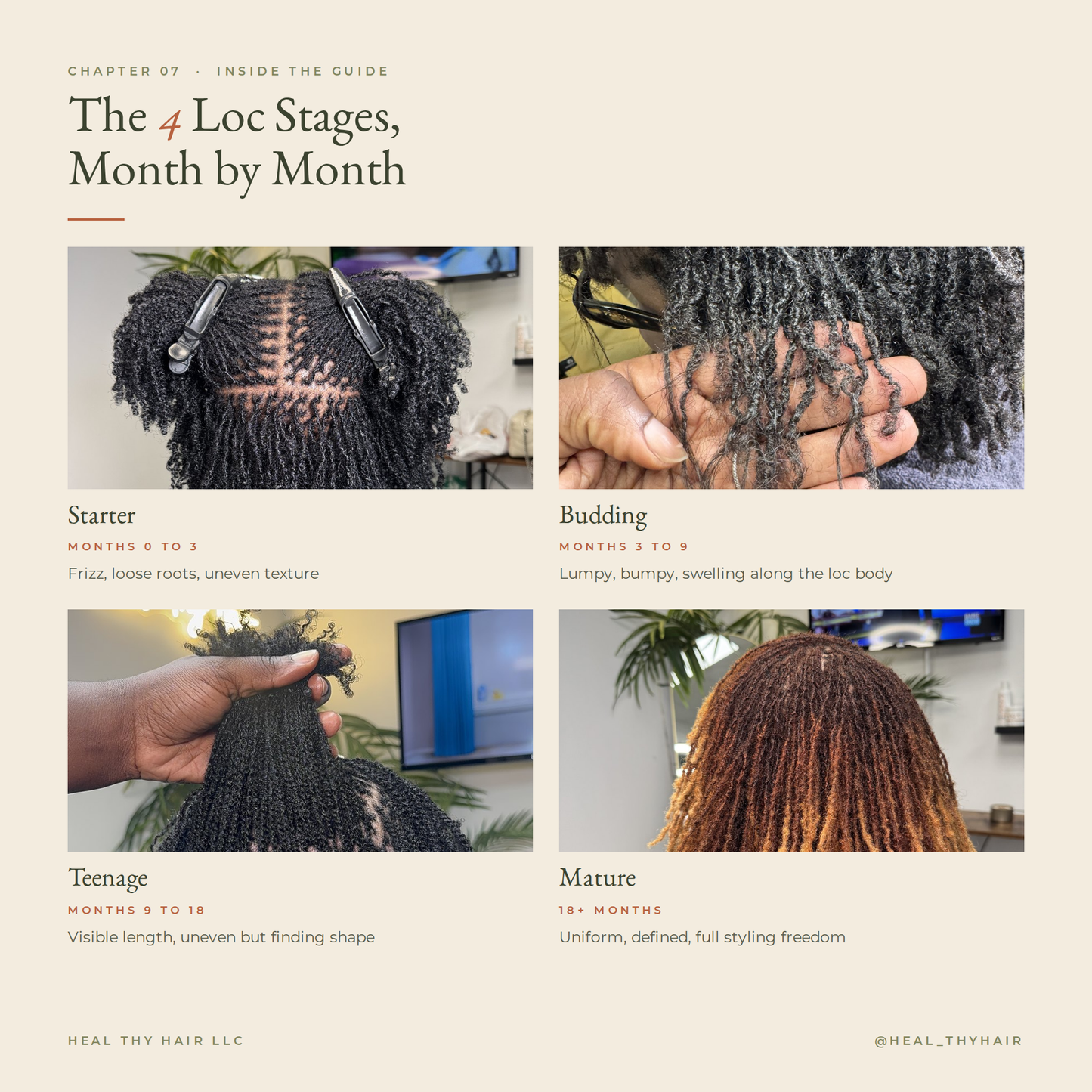 The four Microloc stages month by month: starter, budding, teenage and mature